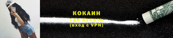 кокс Алексин