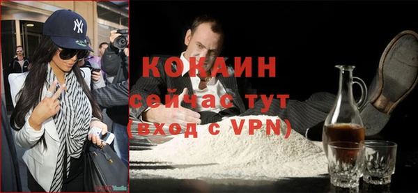 кокс Алексин