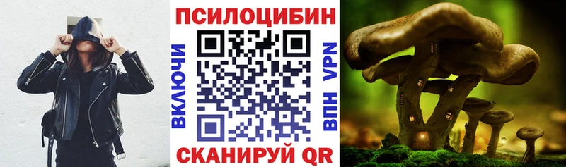 Галлюциногенные грибы MAGIC MUSHROOMS  МЕГА ССЫЛКА  Перевоз 